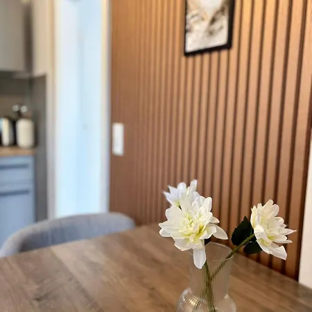 Appartement Modern 2 For Fitters With Parking Space In *
